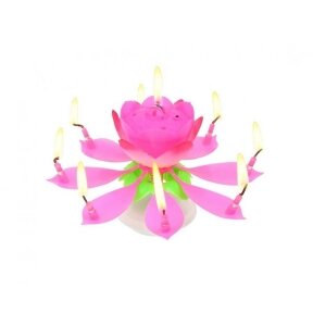 Išsiskleidžiantis lotosas su žvakutėmis ir muzika, rožinis